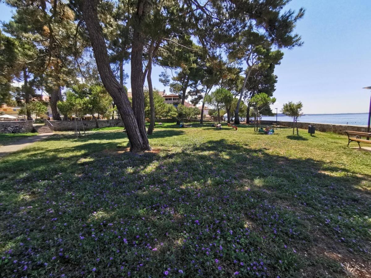 Stella Deluxe Superior 5 Star Apartment, Your Piece Of Heaven By The Sea & Park, With Sea View Novigrad Istria 외부 사진